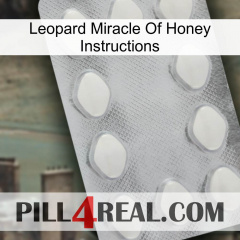Leopard Miracle Of Honey Instructions 16